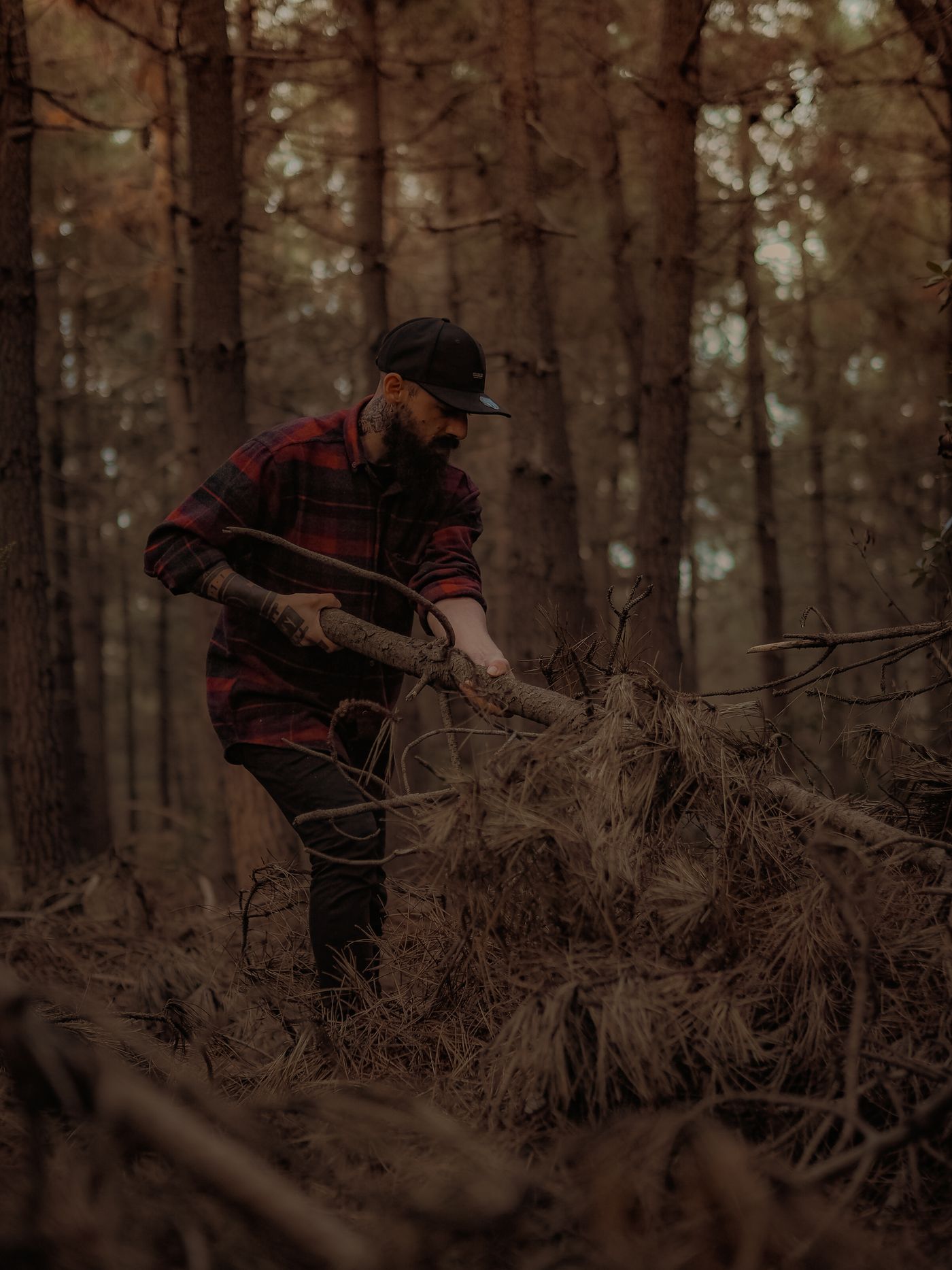 Worker gathering cut brush and branches for removal