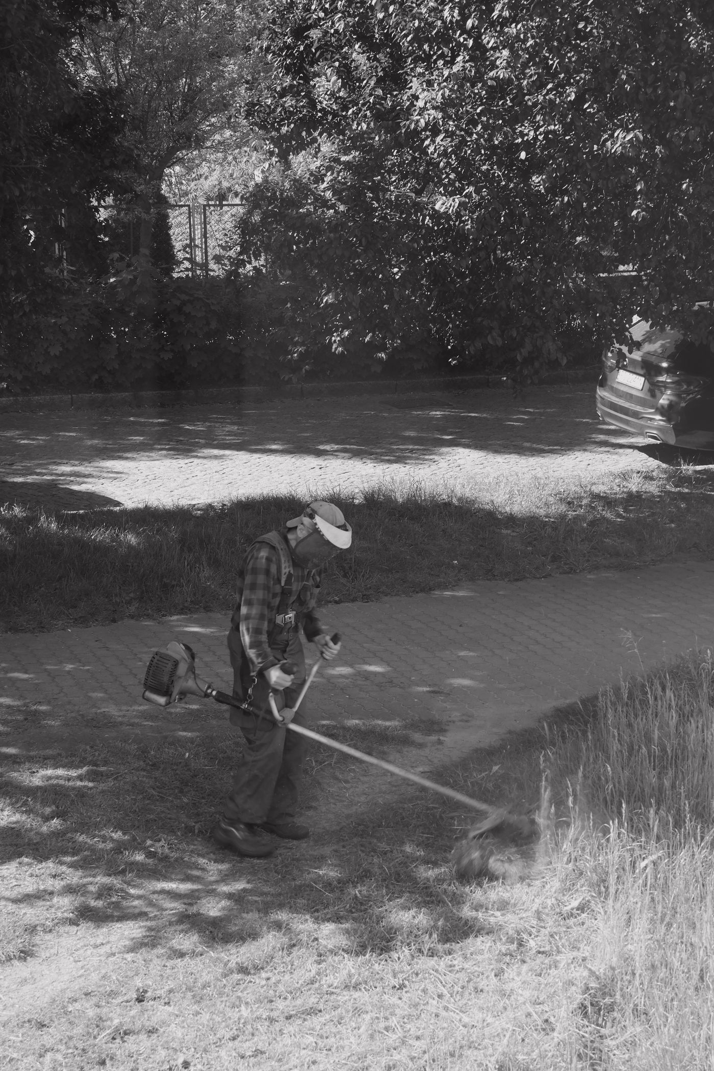 Professional string trimmer creating a clean edge beside pavement