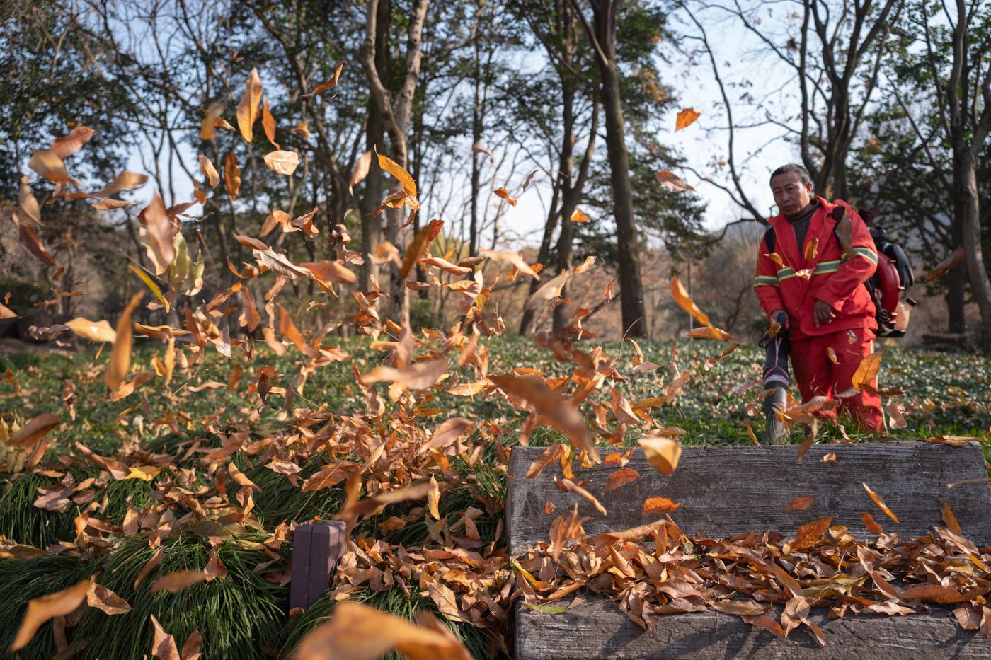 Landscaper using a backpack blower to clear autumn leaves