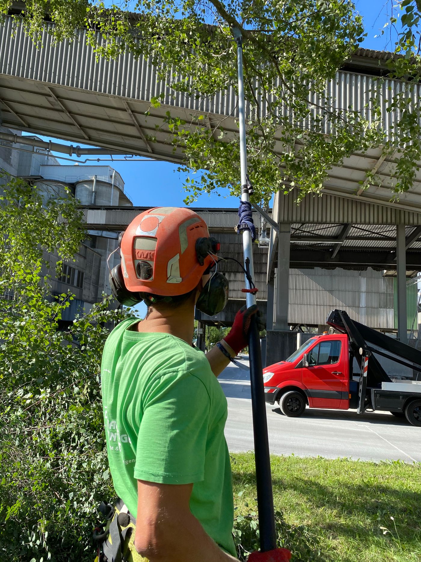Professional trimming a low tree limb with safety equipment